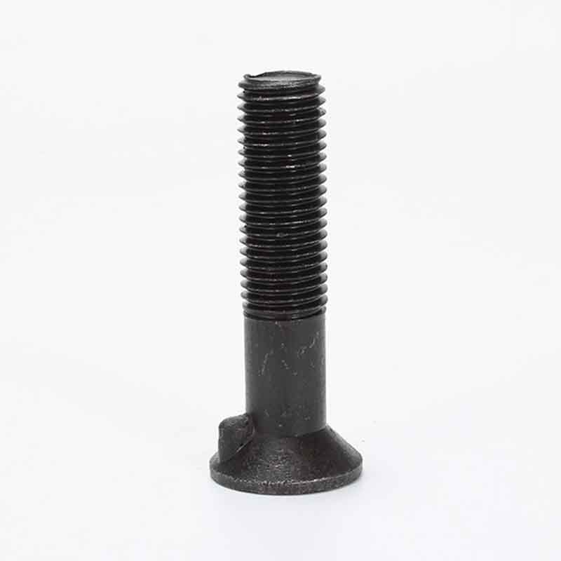 Zerk egiten du torloju ahuskatu bat ezinbestekoa txukundu eta seguru lotzeko?