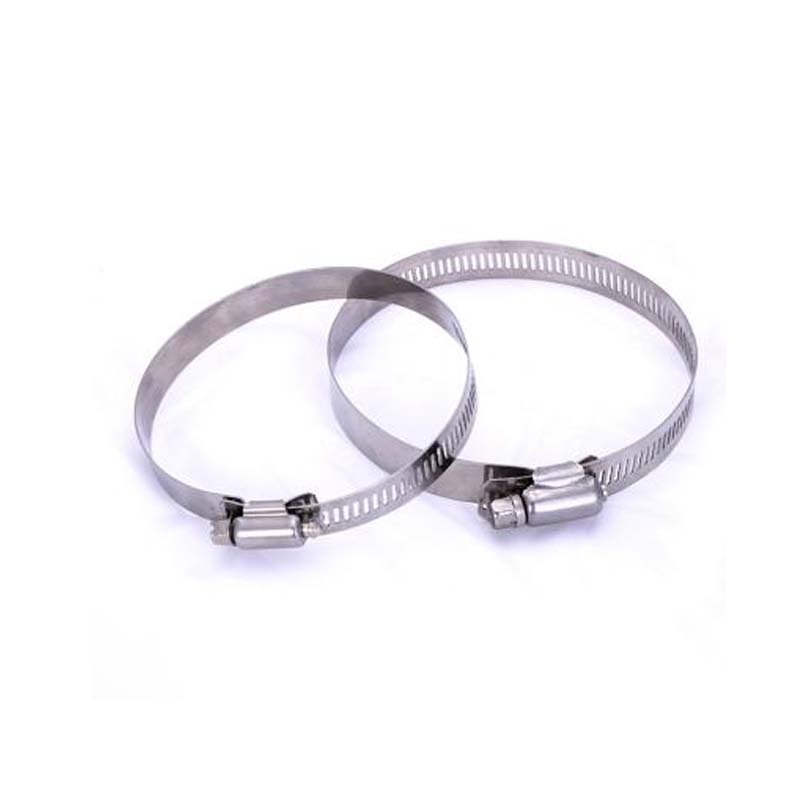 American Mota Harra Hose Clams