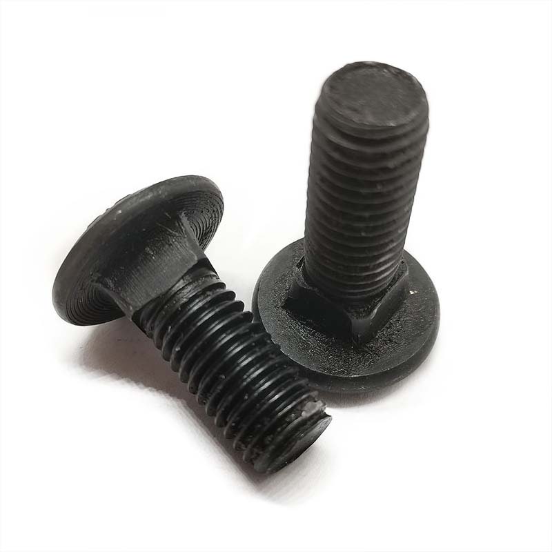 Kopako burua Nib Boltxoak buru handiarekin