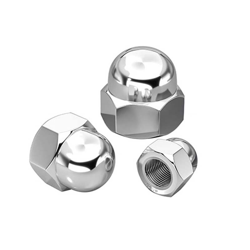Hexagonoa kupula intxaur