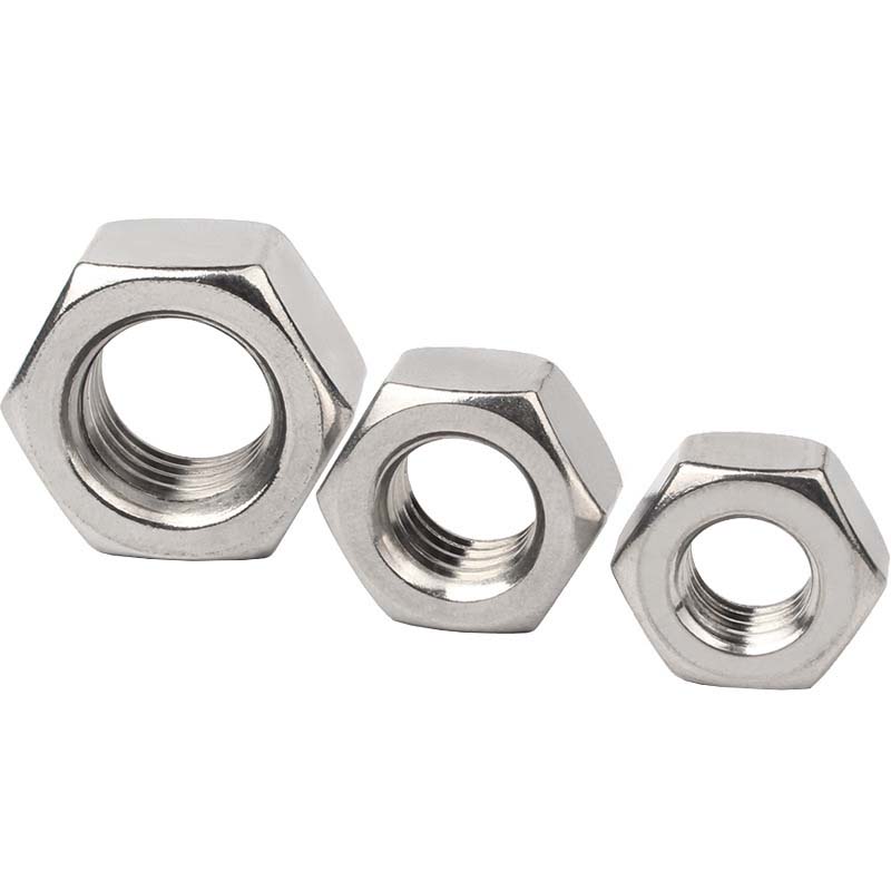 Hexagonoa intxaur mehea kamisetarik gabe