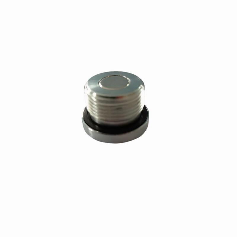 Hollow Hexagon Male Oil Plug egokitzailea